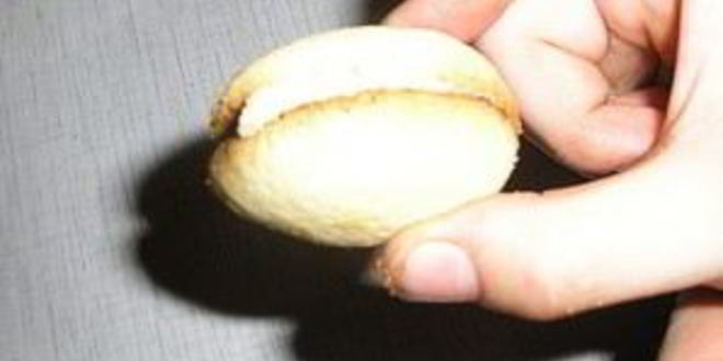 Рецепт печенье желуди