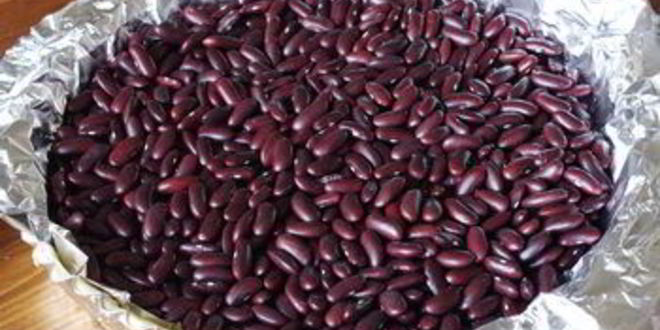 Рецепт киш с кукурузой и помидорами