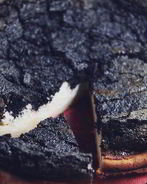 Королевский маковый пирог