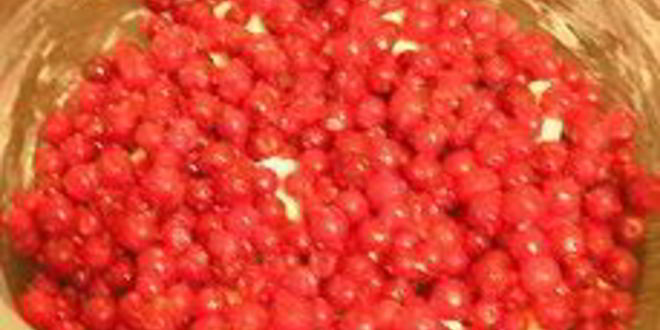 Рецепт пирога с брусникого в микроволновке