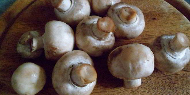 Рецепт пирог с курицей и шампиньонами без яиц