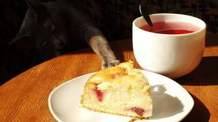 Рецепт Яблочно-медовый пирог