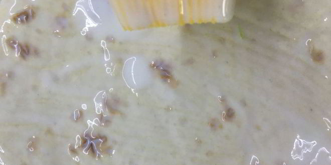 Рецепт кутабы с мясом быстрые