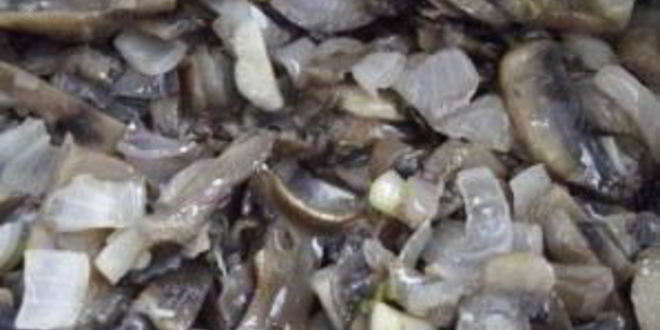 Рецепт пирожки с грибами и яйцом