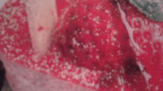 Рецепт Пирожное Сердечко