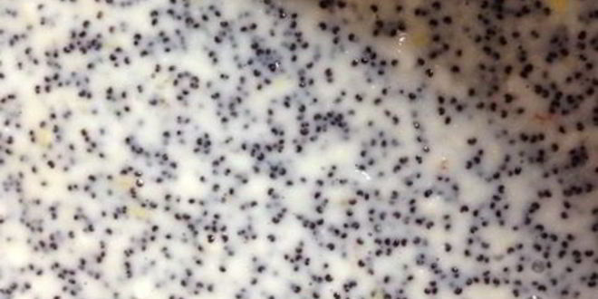 Рецепт пирожных шоколадно-макового удовольствия