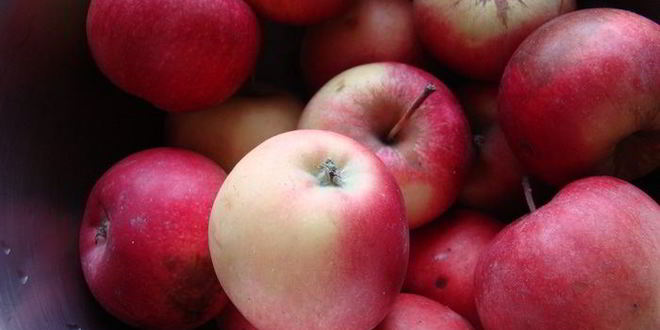 Рецепт яблочные пирожные