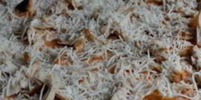 Рецепт пицца с курицей