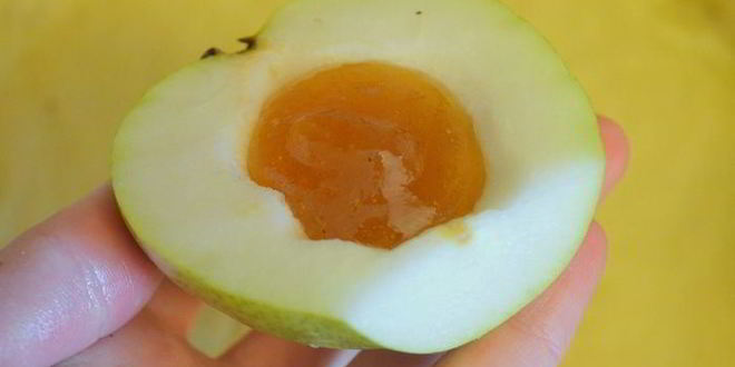 Рецепт чудесный творожник с фаршированными грушами