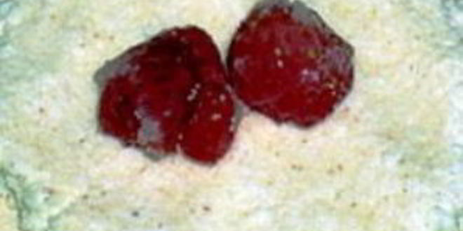 Рецепт творожники на пару