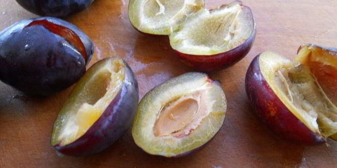 Рецепт творожные сырники с тыквой и сливами