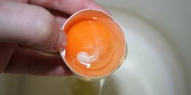 Рецепт тесто для пиццы на молоке