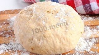 Рецепт Тесто для пиццы в хлебопечке