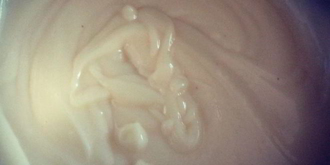 Рецепт наполеон