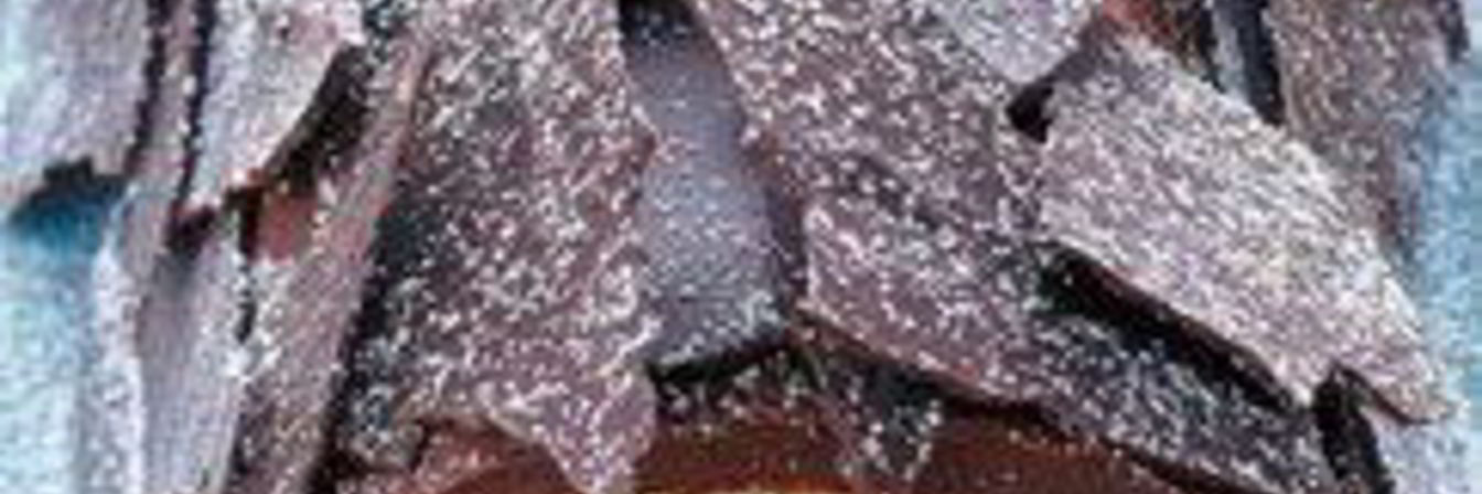 Рецепт Рождественское полено из Франции