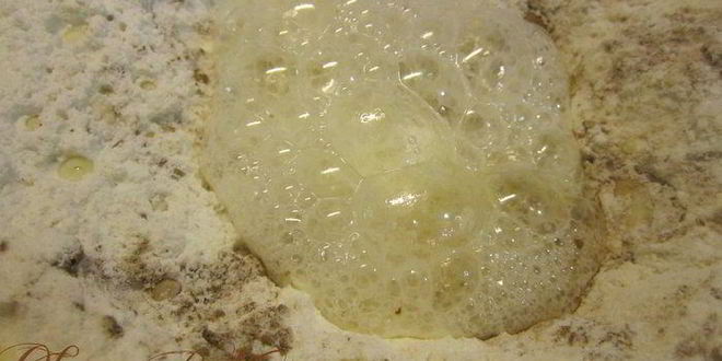 Рецепт торт ферреро роше