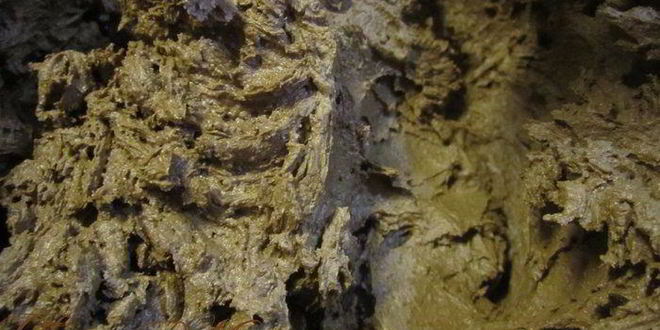 Рецепт торт ферреро роше