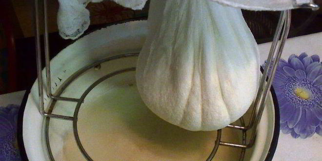 Рецепт торт медовик с черносливом и грецкими орехами