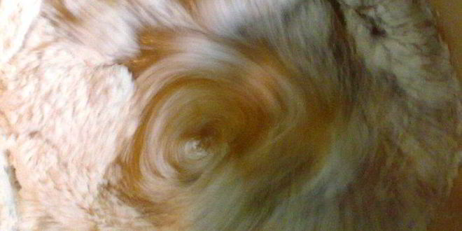 Рецепт торт медовик с черносливом и грецкими орехами