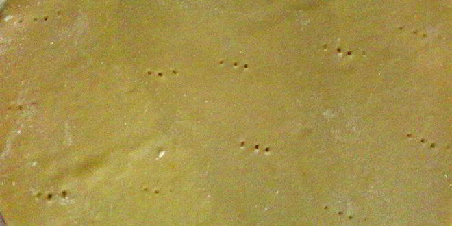 Рецепт торт медовик с черносливом и грецкими орехами