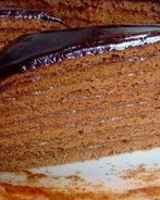 Торт Медовик с темным кремом