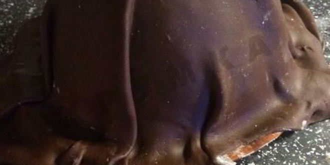 Рецепт торт мешочек с деньгами