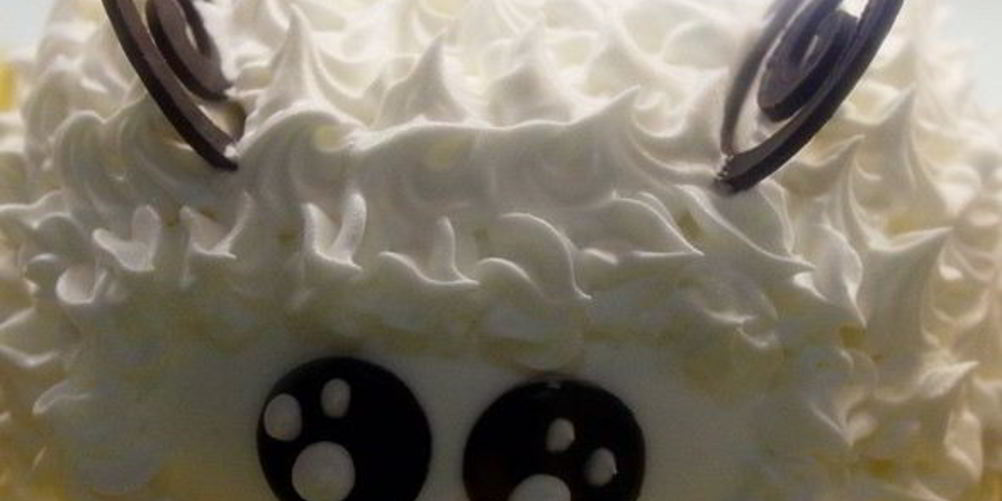 Рецепт торт шоколадные сны с ягодной прослойкой