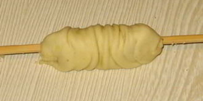 Рецепт турецкая пахлава