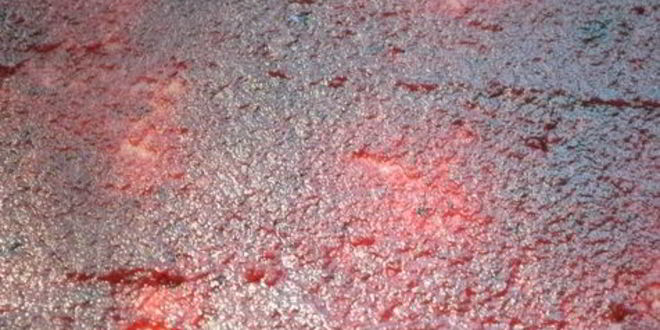 Рецепт яблочный рулет