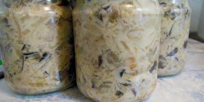 Рецепт баклажанов с майонезома ны зиму