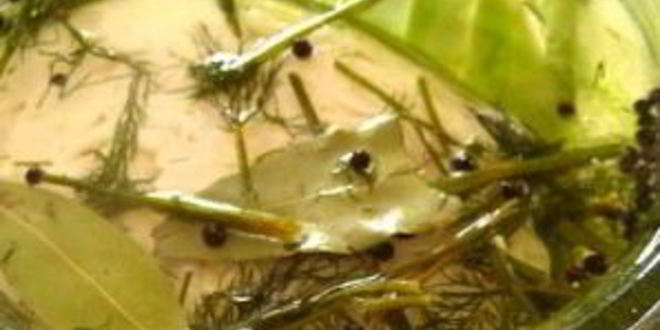 Рецепт белая квашеная капуста