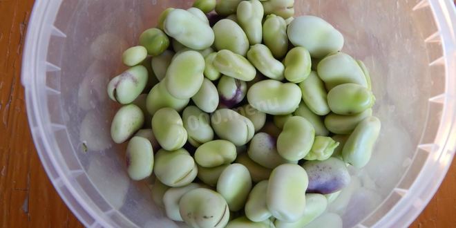 Рецепт бобы на зиму