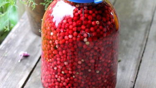 Рецепт Брусника моченая на зиму