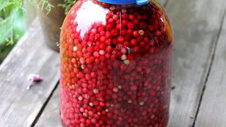 Рецепт Брусника моченая на зиму