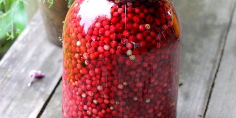 Как приготовить брусника моченая на зиму