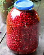 Брусника моченая на зиму