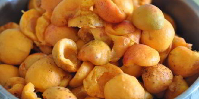 Рецепт абрикосовый джем