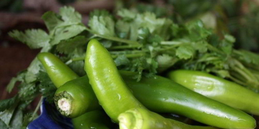 Рецепт перец на зиму без стерилизации