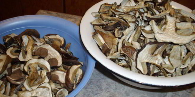 Рецепт грибы сушеные
