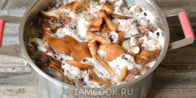 Рецепт икра из опят с чесноком на зиму