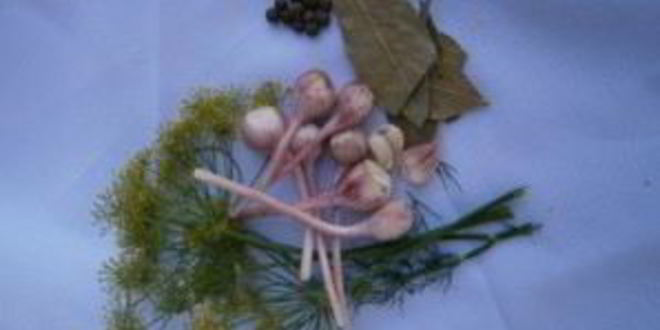 Рецепт кабачки консервированные на зиму