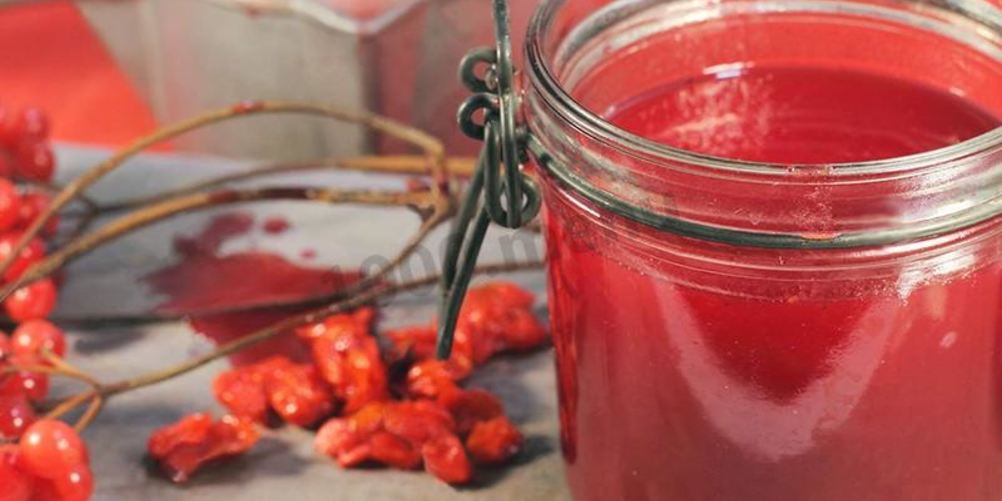 Как приготовить калиновый сок на зиму