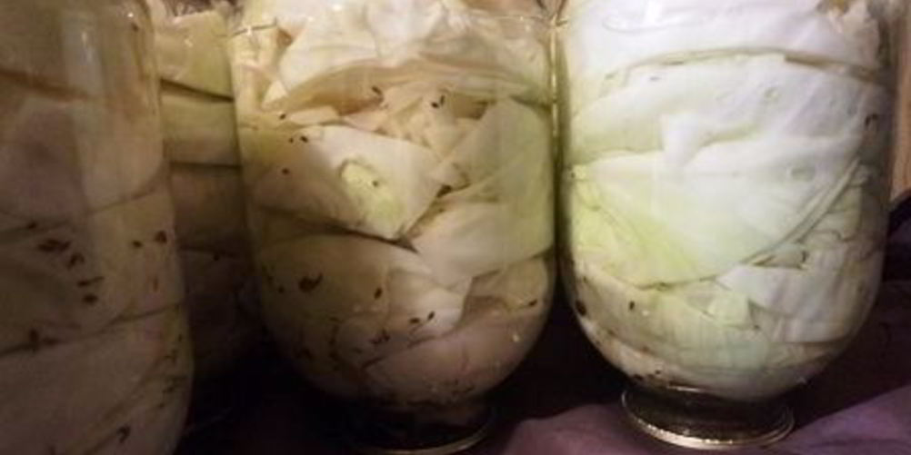 Рецепт капуста с яблоками на зиму