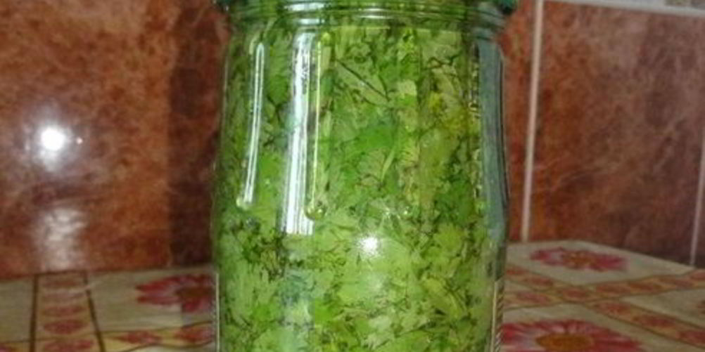 Как приготовить кинза на зиму