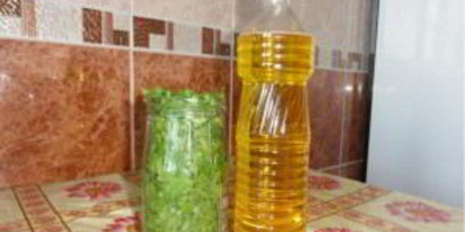 Рецепт кинза на зиму