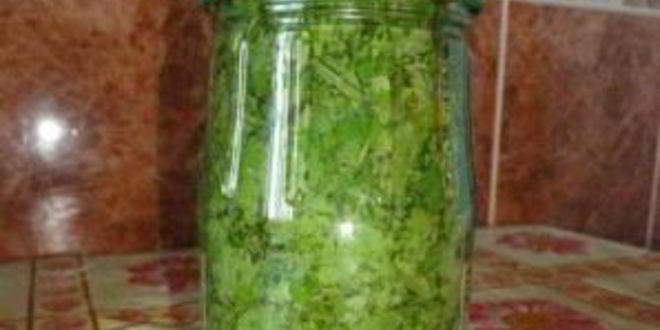 Рецепт кинза на зиму