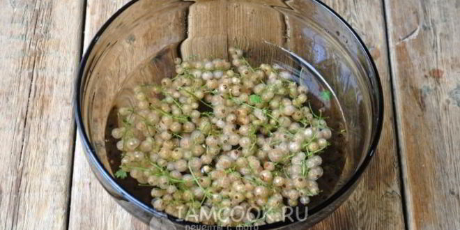 Рецепт компот из белой смородины на зиму