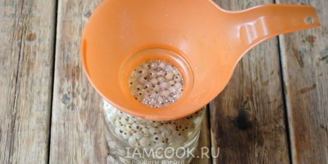 Рецепт компот из белой смородины на зиму