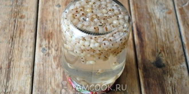 Рецепт компот из белой смородины на зиму