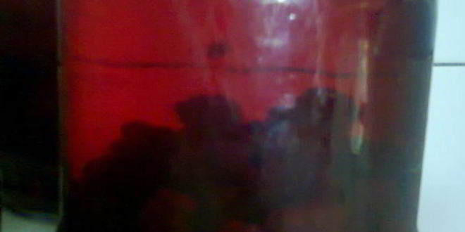 Рецепт компот из ежевики